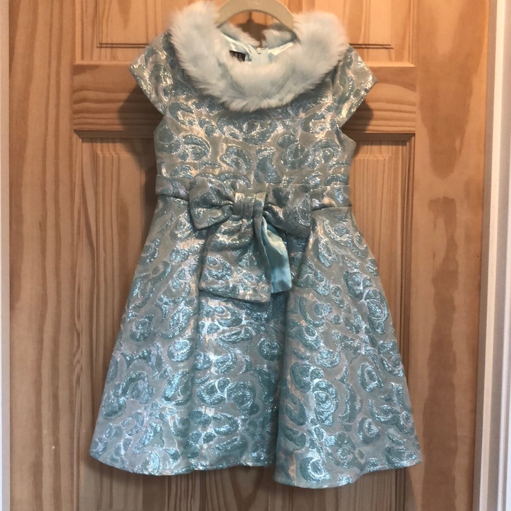 Fancy dress with faux fur collar
